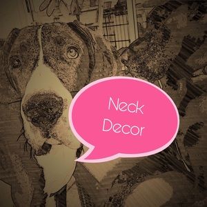 Necklaces and Pendants